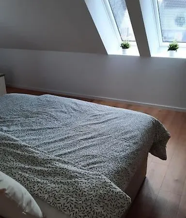 Nordlichtquartier - Wallsbull